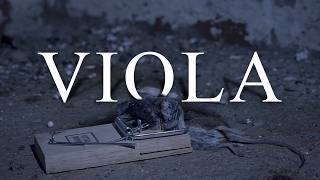Viola | Short Film