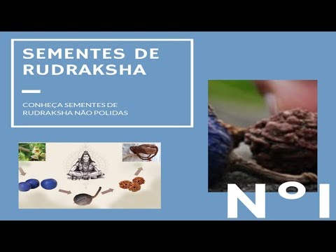 Conheça as sementes de Rudraksha - Japamala