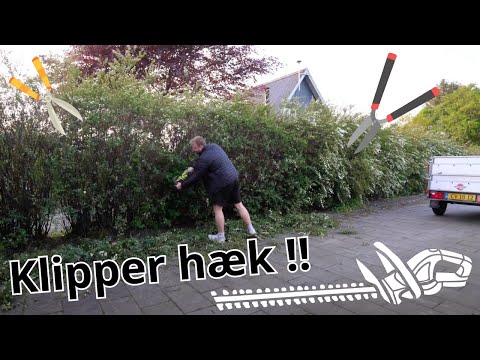 Kristi Himmelfarts ferie i haven (Part 1)