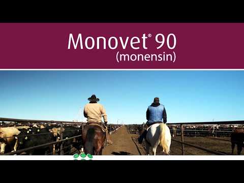 Monesin Sodium 20% - Monovet 200
