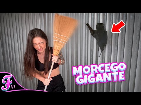 GIANT BAT INVADED MY HOUSE *Scary - Fran Japa
