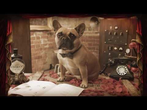 Presenting the Deputy Deputy Minister