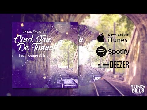 Dwayne Meerzorg - Eind Van De Tunnel ft  Kempi & Iris vd Meij | Akoestisch (Remix by CRI)