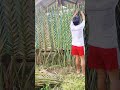How To Weave Coconut Leaf