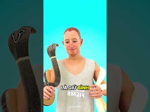 Bị rắn cắn? đây mới là cách cứu mạng!