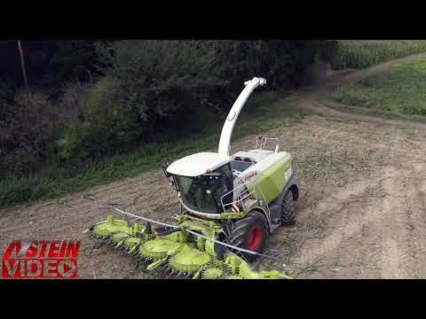 Erstes Maishäckseln 2020 -  Claas Jaguar 970 - Fendt 724  516 -  farmer corn harvest Maisernte 2020