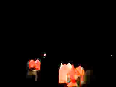 festivalul luminii Oradea 2011 - final - 1 / 5