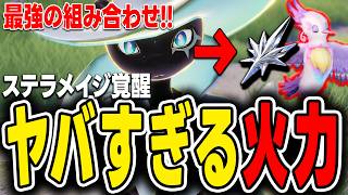 【アニモ】ステラメイジ覚醒がヤバすぎる！アロマドリと分裂する針で火力が爆増した件w【Aniimo】