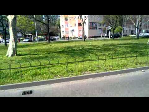 224-es busz Rákos úti SZTK - Újpalota, Szentmihályi út avagy merre megy ez a busz