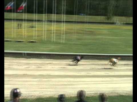 Federation Sprint 1st semifinal - 2011