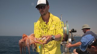 Ссылка
