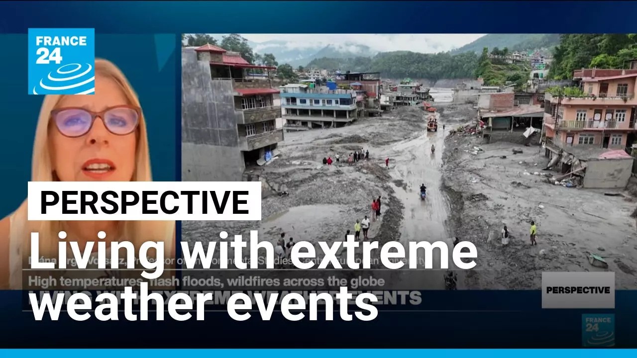 Expert warns of 'hotter summers, more wildfires, more drought and more floods' • FRANCE 24 English