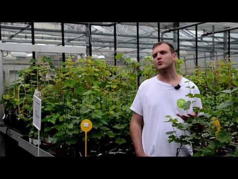 download lagu mp3 mp4 David Halter, download lagu David Halter gratis, unduh video klip David Halter