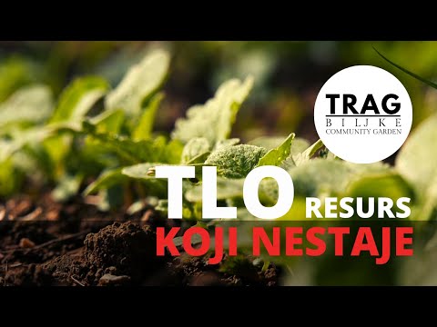 TLO - RESURS KOJI NESTAJE - GOVORE ČLANOVI PRVE ONLINE ZAJEDNICE (2021) [TRAG BILJKE]