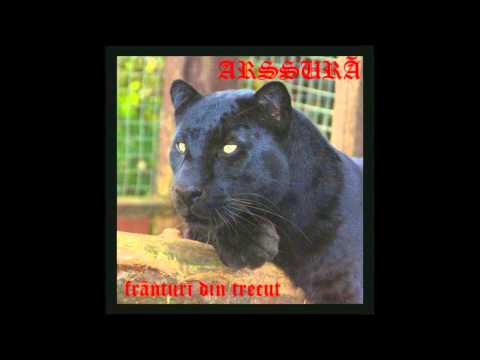 Arssura feat. Scanteie (Ad Litteram) - Materialista (2004)