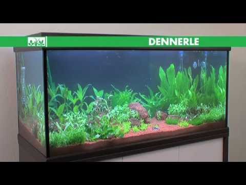 Macenauer TV - Osvětlení akvária - Dennerle: Akvaristou snadno a rychle 5. díl