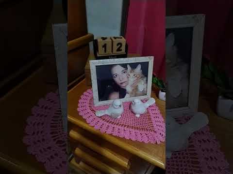 meu quartinho chicozinho de vizitas