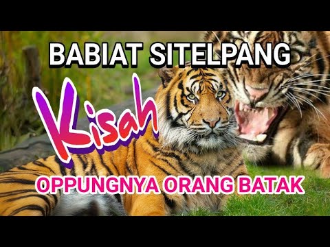 Kisah atau Legenda Babiat Sitelpang - Opungnya Suku Batak