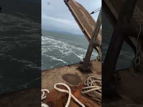 Only Tugboats Can Do This! Massive Port Barge Tow 😮🌊#shorts