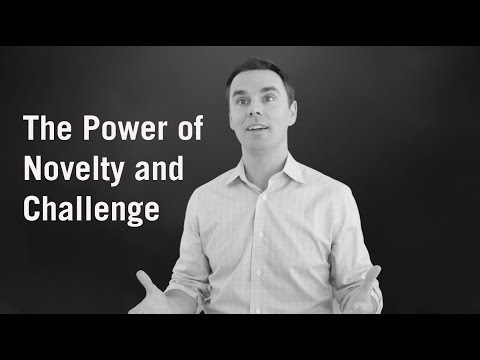 The Power of Novelty and Challenge