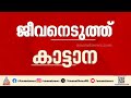 വയനാട്ടിൽ വീണ്ടും കാട്ടാന ആക്രമണം വയ