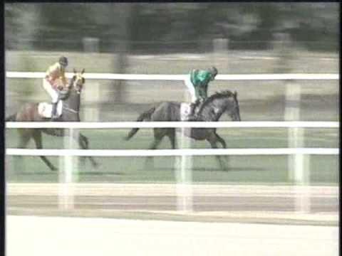 1st Alfkona - FLANDORFFER TAMÁS EMLÉKVERSENY