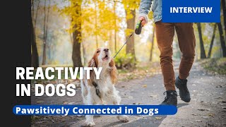 Complete Overview of Reactive Dog Behavior