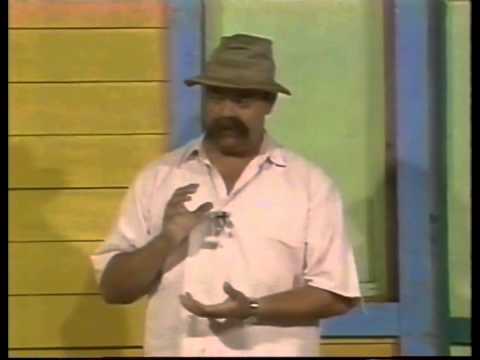 SCHOOL, THE SERRANA PIGS; COMEDY