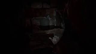 エンジョイ全クリ目指して #10［THE LAST OF US2］