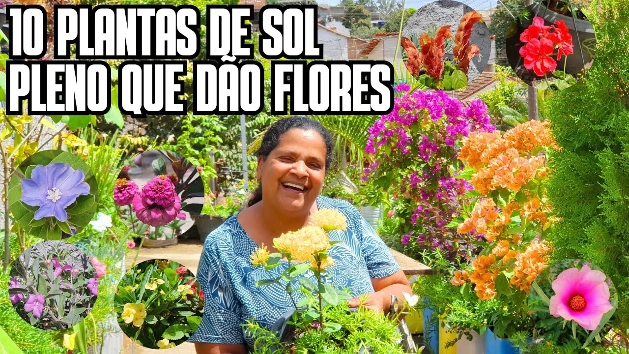 10 PLANTAS DE SOL PLENO QUE DÃO FLORES LINDAS, ORNAMENTAIS E DE FÁCIL CULTIVO | DICA DE FERTILIZANTE