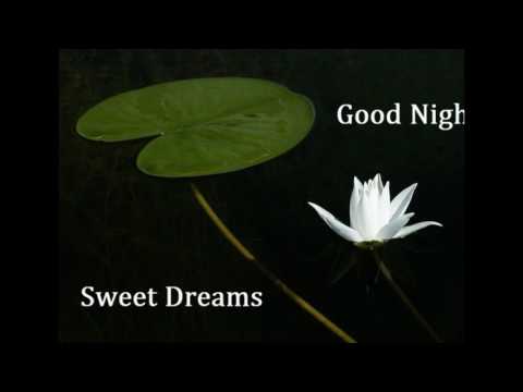  Good night flowers for whatsapp