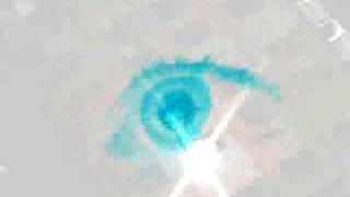 The Walkmen - Stop Talking