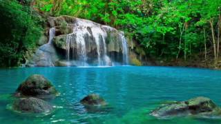 Peaceful Rivers sound with music - Relaxing water - Studying & Relaxation