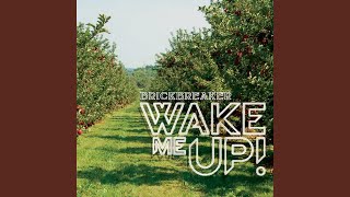 Wake Me Up