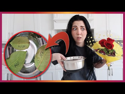 We Tried Playing The Creepy Rose Petal Game