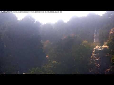 Live webcam of Disneyland Cam