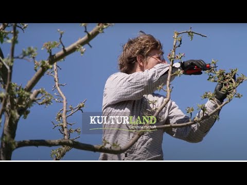 Obstmuckelei Obstwiese Havelland - Kampagnenfilm