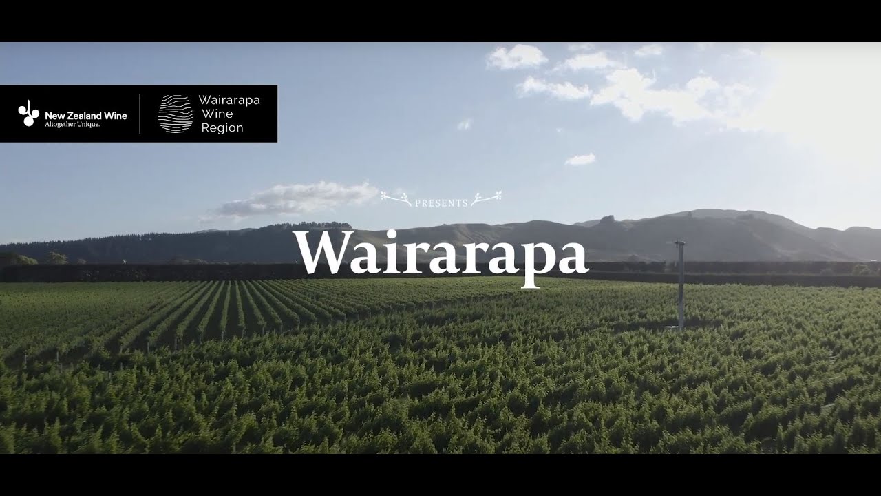 Dive into the highlights of Wairarapa Wine Region.