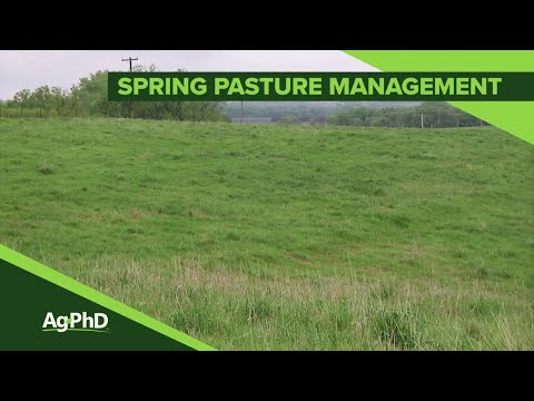 Spring Pasture Management (From Ag PhD Show #1096 - Air Date 4-7-19)