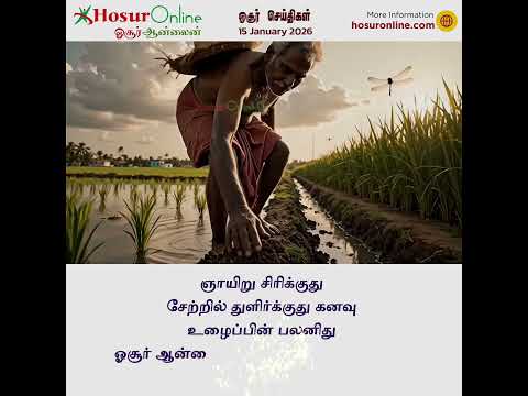 Pongal Greetings 2026 from HosurOnline | Celebrating Farmers & Tamil Culture
