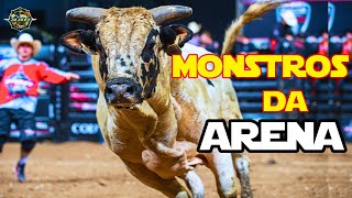 OS 5 TOUROS MAIS TEMIDOS DA HISTÓRIA DA PBR | RODEIO MUNDIAL