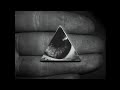 FRACTIUS KAKA MUTTAI PSY TRANCE ORIGINAL MIX BASS BOOSTED