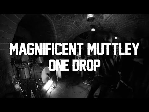 Magnificent Muttley - One Drop Live @ Lighthouse Sessions Kołobrzeg HD