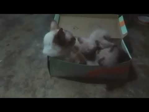 3 de setembro de 2024