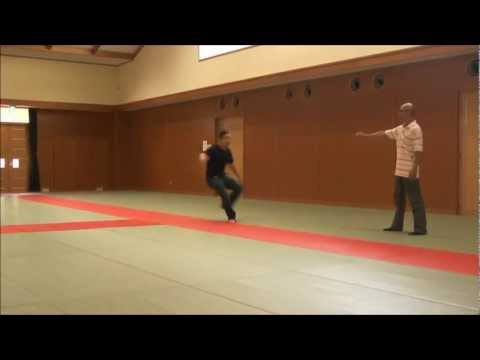 エネルギー貫通パンチ・カウンター　【合気道の達人・武術の達人・武道の達人研究　素材を使えば誰でも達人！？　素材開発による非意識力・達人研究のたくみの会】