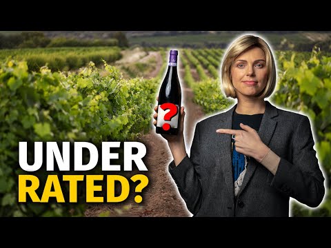 5 UNDERRATED Red Wine Grape Varieties (You MUST Try!)