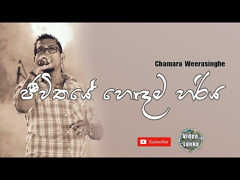Jeewithaye Hodama Hariya | ජීවිතයේ හොඳම හරිය | Sinhala Songs | Chamara Weerasinghe