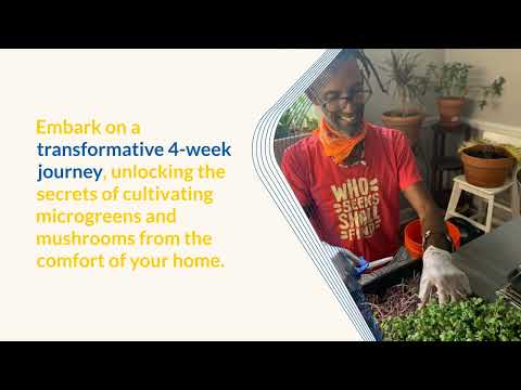 Unlocking the Secrets of Urban Hydroponics: Grow Microgreens & Mushrooms at Home!