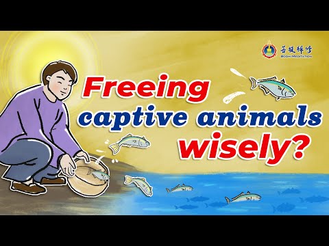 Freeing Captive Animals Wisely