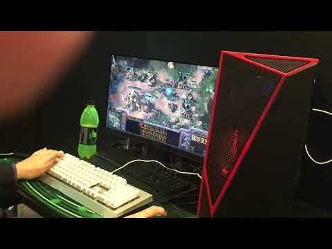 Briscraft: Oreo vs Blysk G3